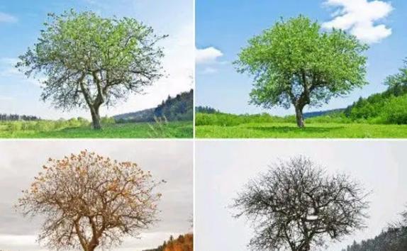 赤道附近有沒(méi)有一年四季的變化？赤道經(jīng)緯度是什么