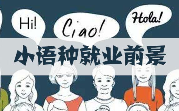 小語(yǔ)種的就業(yè)方向和難易程度？學(xué)小語(yǔ)種有哪些學(xué)校