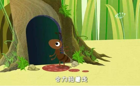 螞蟻洞是大自然的指南針嗎？小黃螞蟻怎么來的