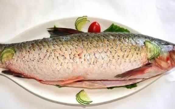 怎么挑選新鮮的草魚？草魚哪些部位不能吃