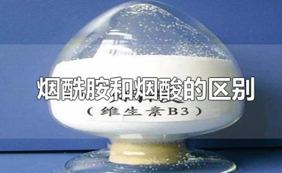 煙酰胺和煙酸的區(qū)別是什么？果酸和煙酰胺能一起用嗎