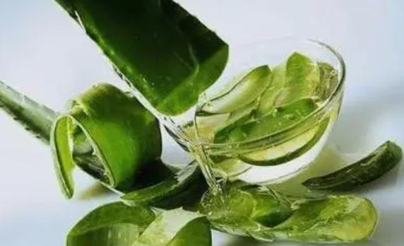 橄欖油和蘆薈膠哪個好？橄欖油護(hù)膚怎么用