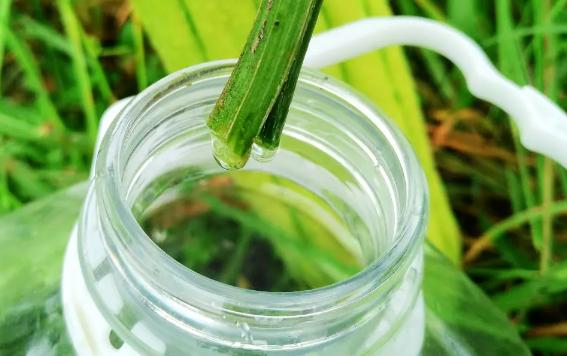 絲瓜水適合什么膚質(zhì)？絲瓜水做噴霧怎么用