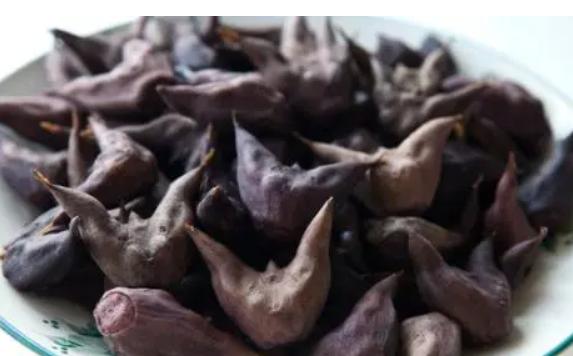 菱角的好處與作用有什么？菱角含有什么營養(yǎng)物質(zhì)